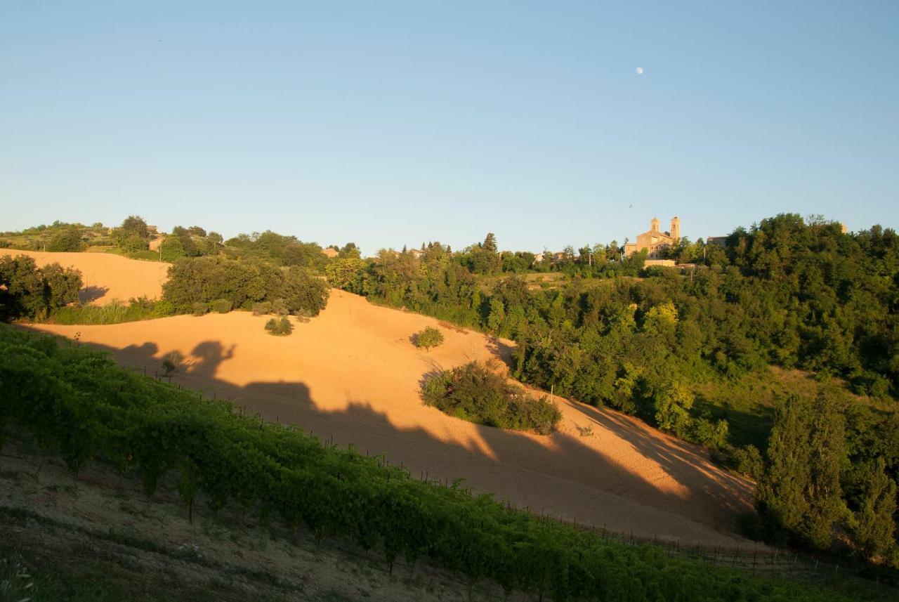 Biancopecora Villa Sant'Elpidio Morico Buitenkant foto