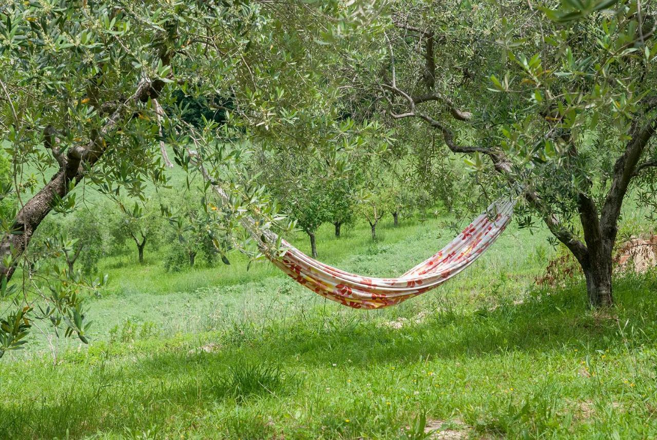 Biancopecora Villa Sant'Elpidio Morico Buitenkant foto